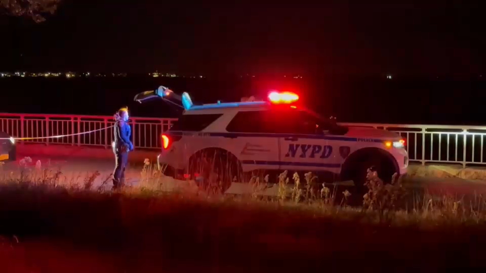 Woman critical after being stabbed in neck while out for a jog in Brooklyn
       — Manhasset Community news
