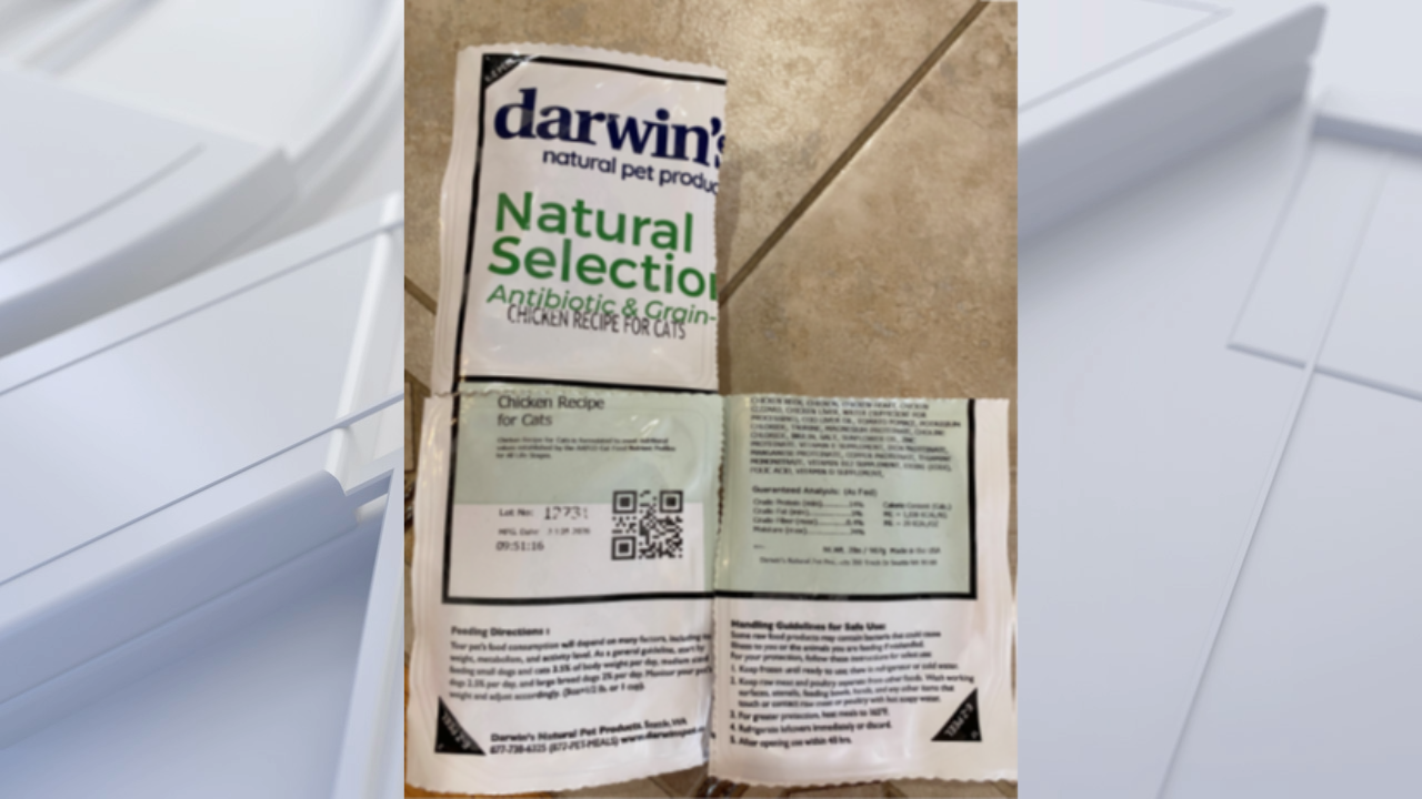 FDA warns pet owners after salmonella found in frozen cat food — Manhasset Community news